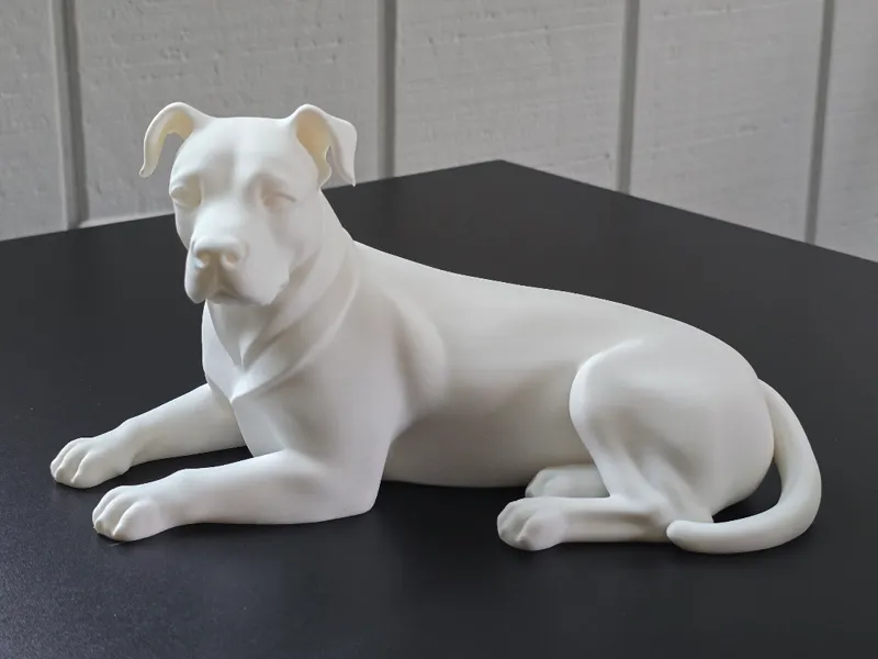 American Pit Bull