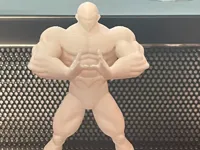 0.2mm layer, 2 walls, 12% infill