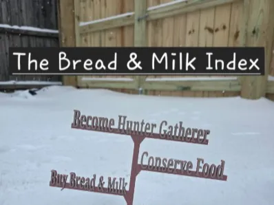 The Bread & Milk Index