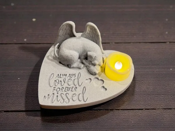 https://makerworld.bblmw.com/makerworld/model/US2a88fd7d5074de/design/2025-12-24_8cdda4cbf062a.jpg