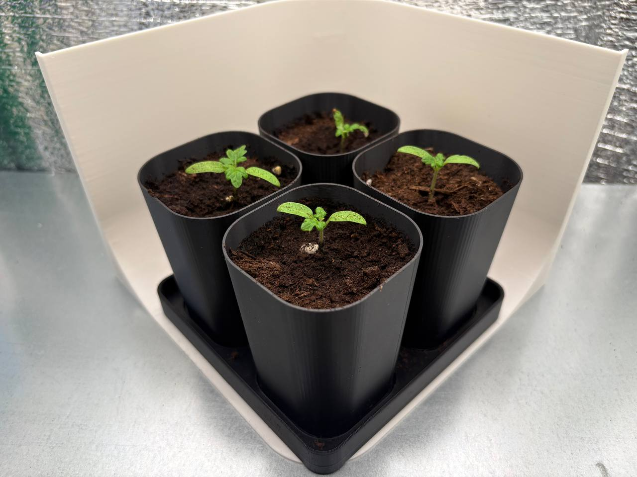 Stackable Seedling Pots with Tray