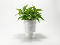 Insert auto-arrosant pour pot de fleurs — photo 2