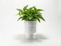 Insert auto-arrosant pour pot de fleurs — photo 1