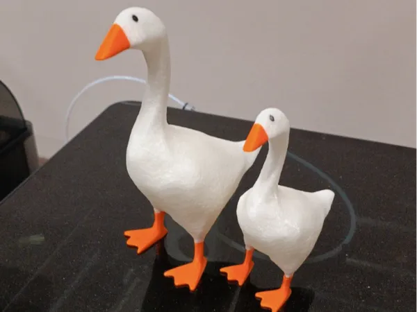 https://makerworld.bblmw.com/makerworld/model/US2a906b7e3bf5f7/design/2025-03-22_78497910180bb.jpg
