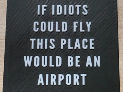 If idiots could fly this place would be an airport