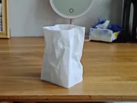 Vase sac en papier (impression vase) — photo 6
