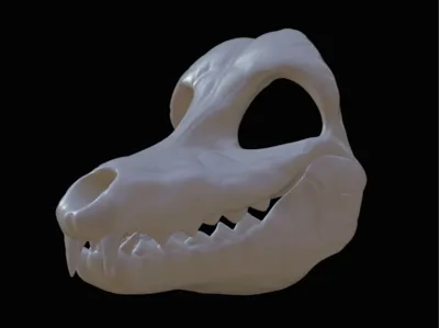 Skulldog head by Saberwolfstudio