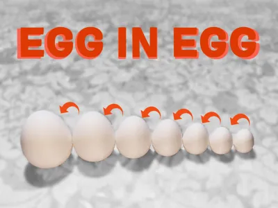 EGG in EGG