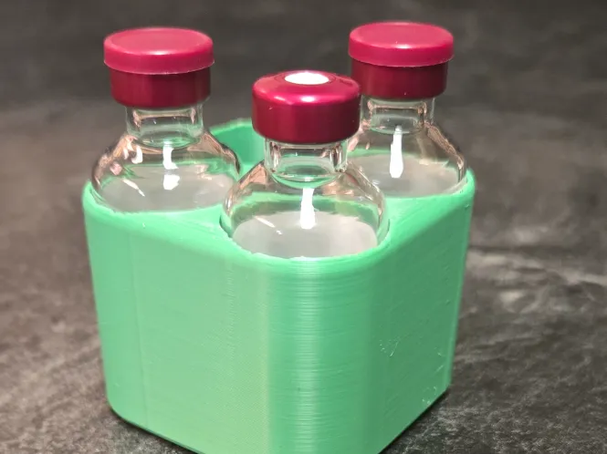 Insulin bottle holder
