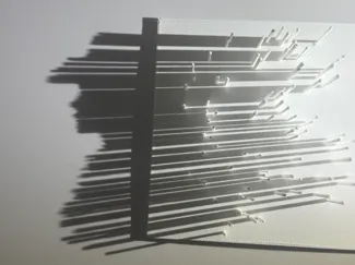 Cowgirl in Shadows – Optical Illusion Art Piece