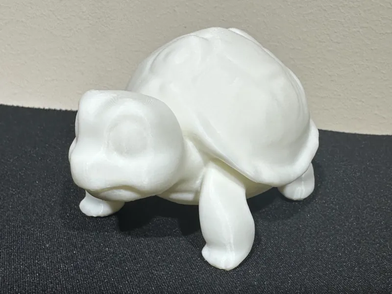 Cute Turtle