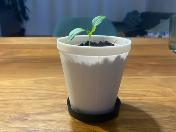https://makerworld.bblmw.com/makerworld/model/US2ab2517ea0259d/design/9b1a04e7d3def383.jpeg