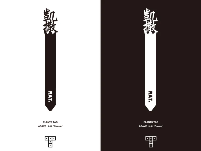 Plant TAG AGAVE 凱撒 ’Caesar’  JAPANESE PLANT TAG  
