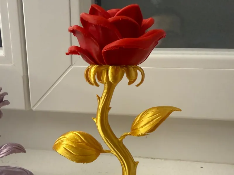 Rose mit Untertasse