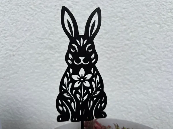 https://makerworld.bblmw.com/makerworld/model/US2ab38573c63e35/design/2025-07-07_1f6bd51f41f91.jpg