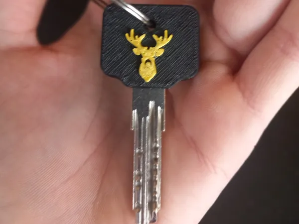 https://makerworld.bblmw.com/makerworld/model/US2ac661ddaef174/design/2025-11-23_5cdf48dc2ce9f.jpg