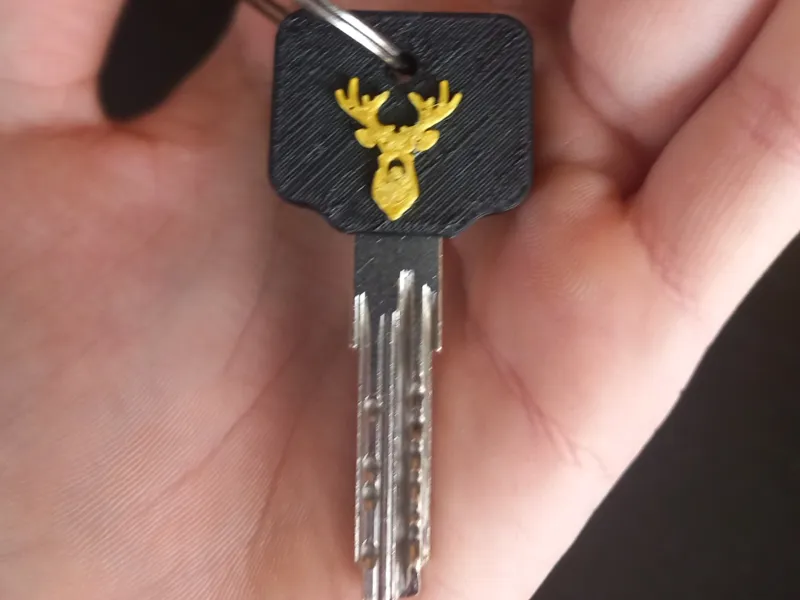 Christmas Key Cover 