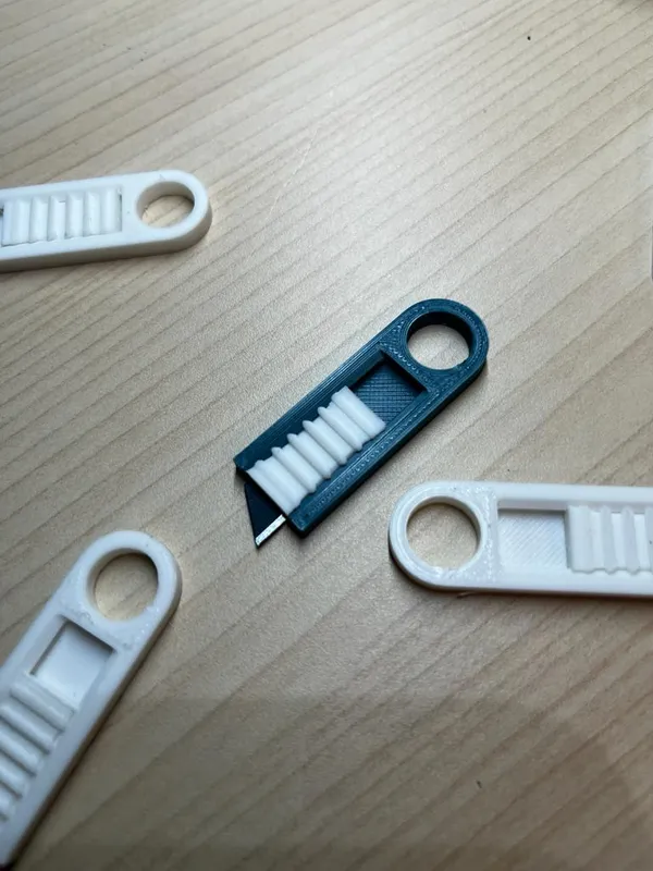 https://makerworld.bblmw.com/makerworld/model/US2ac82c1530795/design/2023-12-29_0f6828df36fc1.jpg