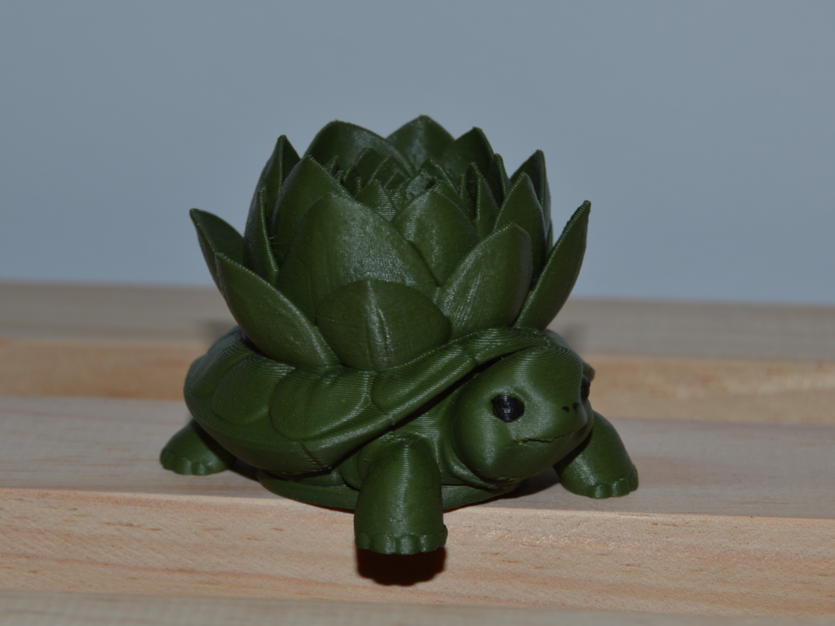 tortuga loto