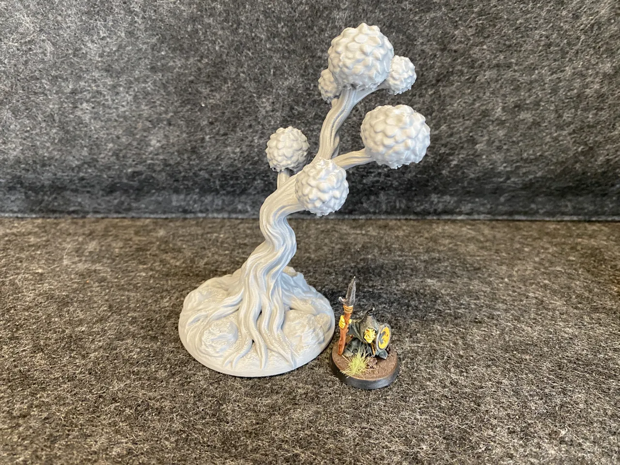 Tree 17 view 4