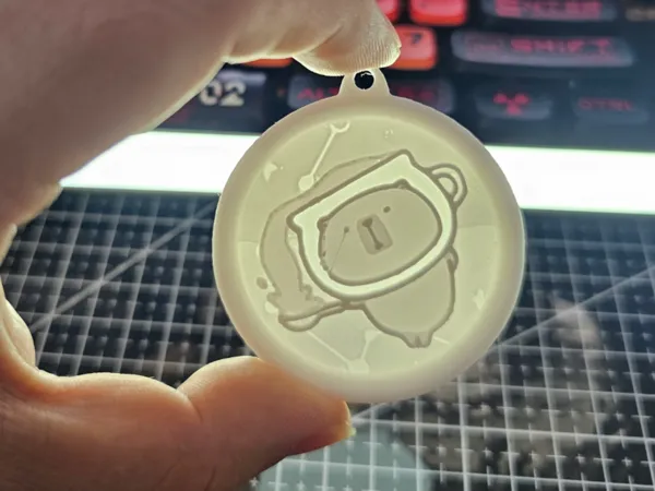 https://makerworld.bblmw.com/makerworld/model/US2acc58337775cd/design/2025-04-23_db8cca903a6bc.jpg