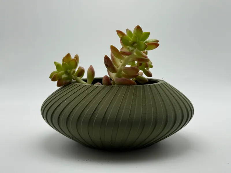 Planter & Decor