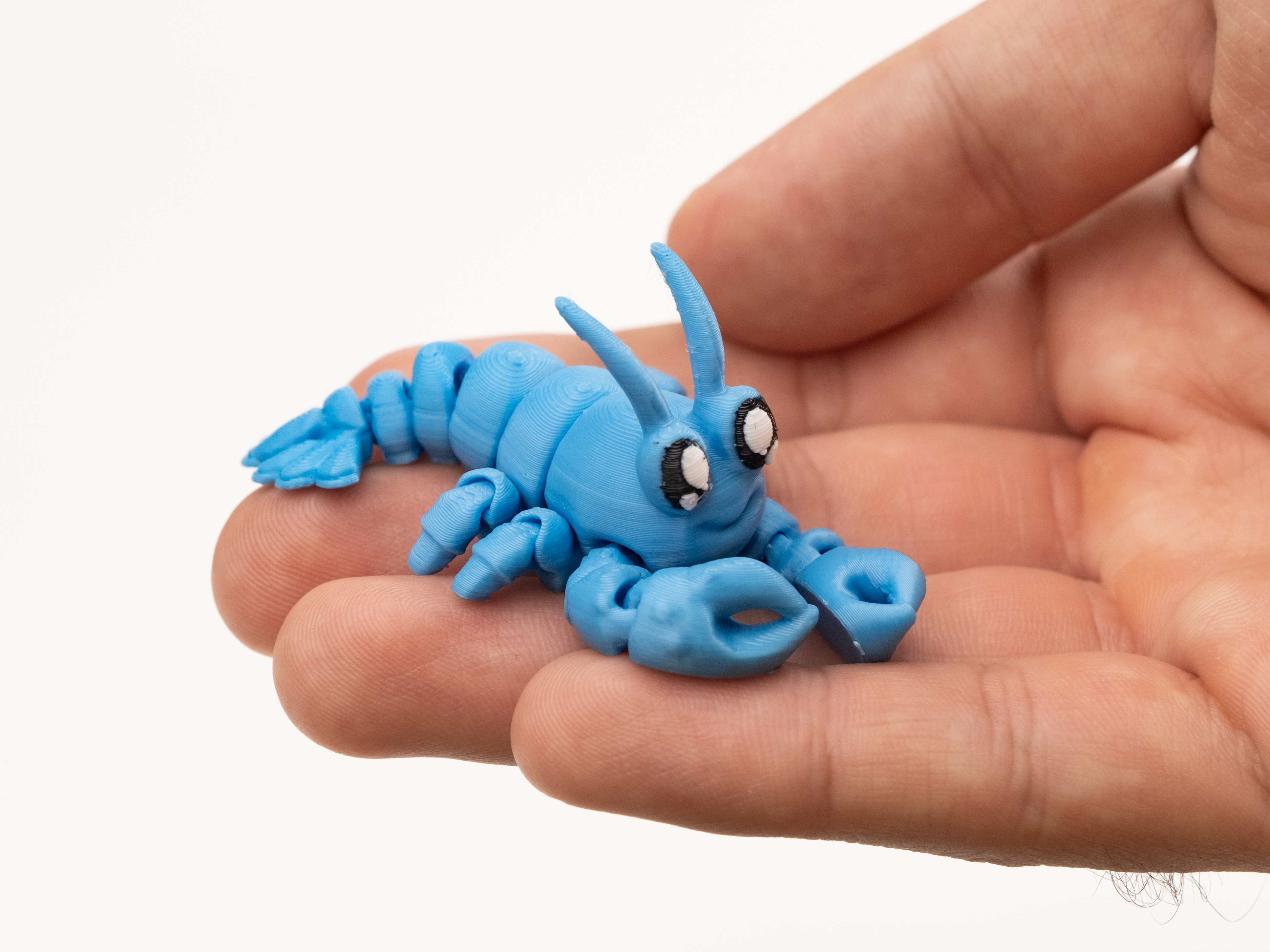 Flexi Lobster - 1