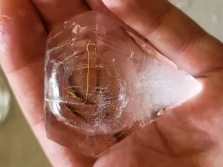 Diamant Eiswürfelform