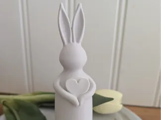 Love of bunny