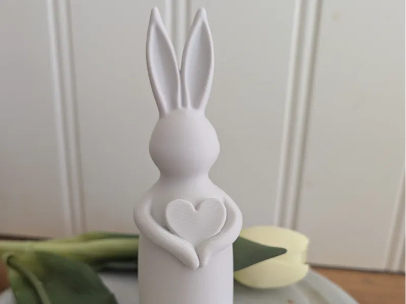 Love of bunny