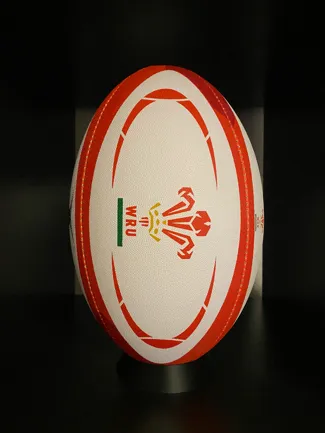 Rugby Ball and American Football holder
