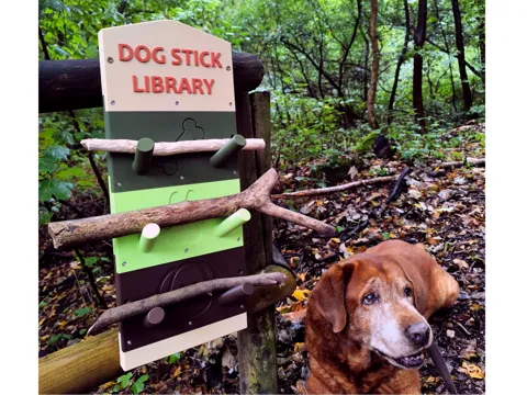 Letrero o emblema decorativo: Dog Stick Library | Modular & Customizable — referencia de MakerWorld