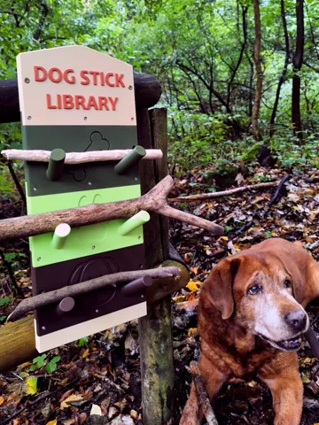 Letrero o emblema decorativo: Dog Stick Library | Modular & Customizable — vista de referencia 2