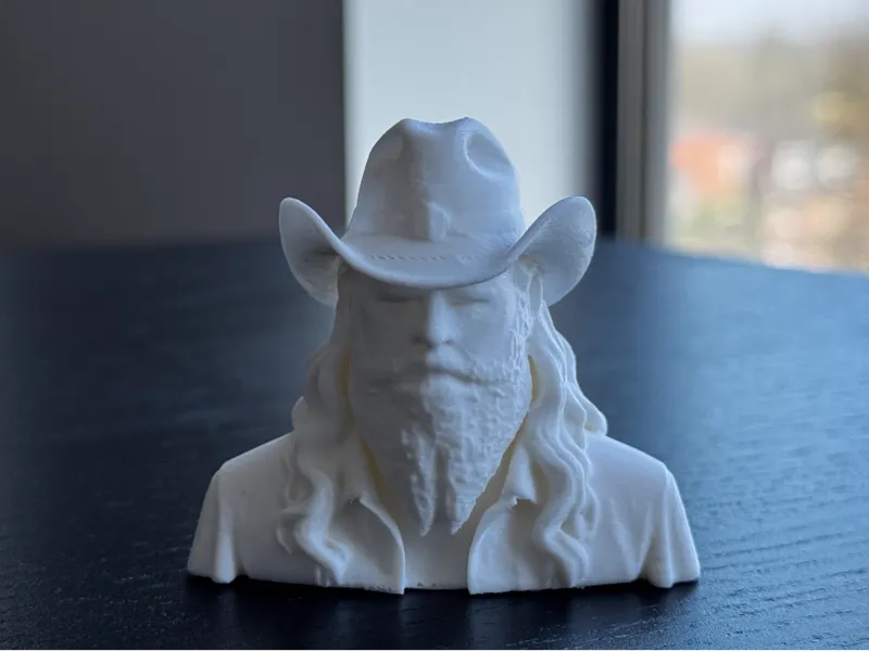 Cowboy Bust