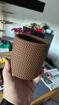 0.2mm layer, 3 walls, 0% infill, 113%