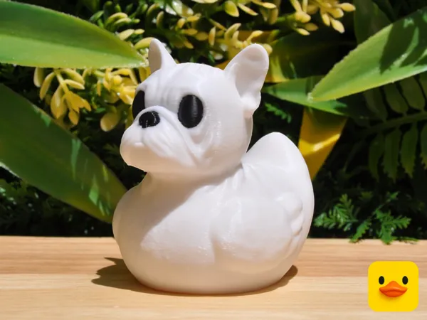 https://makerworld.bblmw.com/makerworld/model/US2add5202cd6acb/design/2415bfd92f3d79e9.png