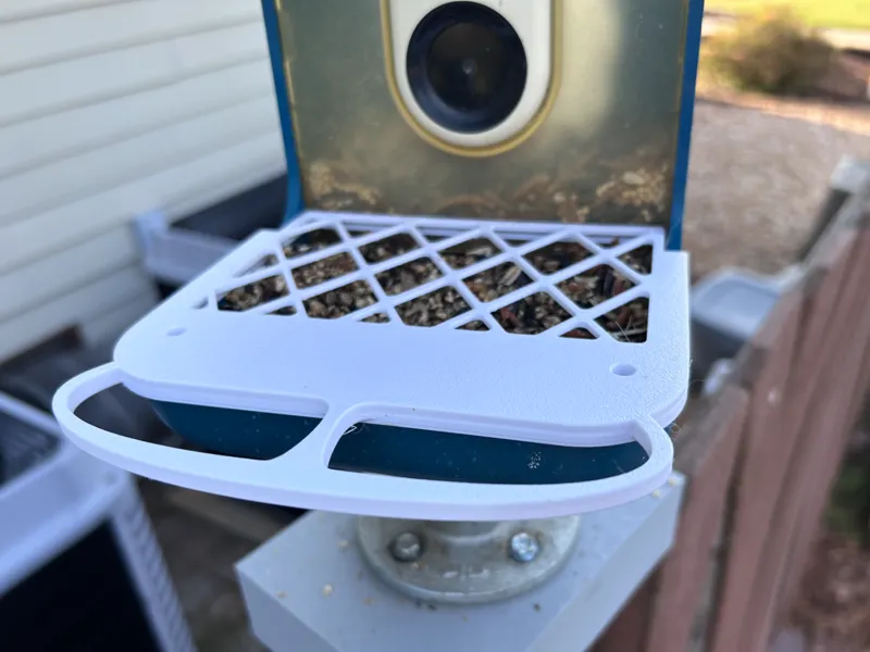 Bird Buddy Spill Guard Remix