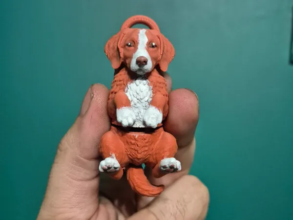 https://makerworld.bblmw.com/makerworld/model/US2adf13dc3af7d0/design/2026-01-19_4757d8b305d6d.jpg