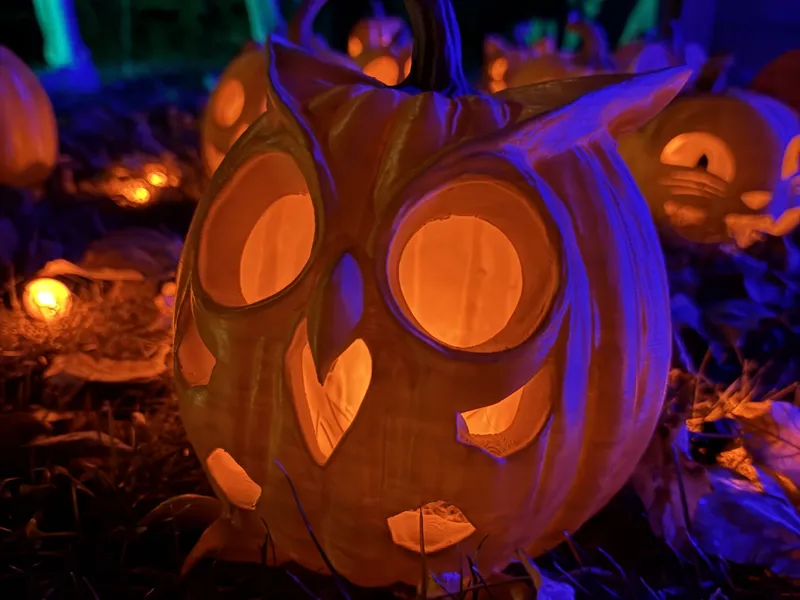 Owl Face Jack-O-Lantern Pumpkin Halloween Tealight