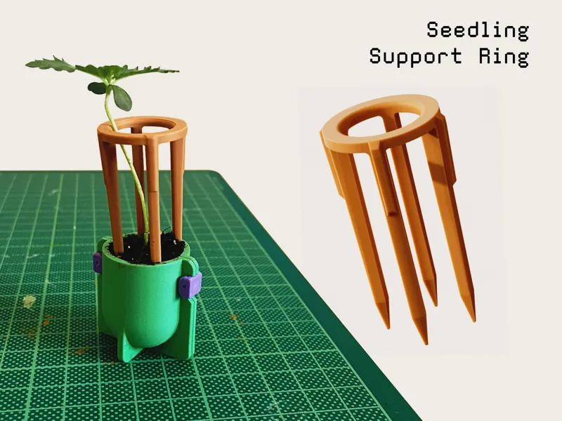 Seedling Support Ring