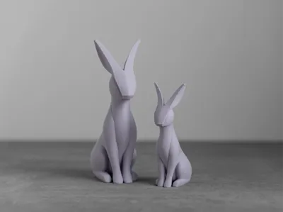 HASE