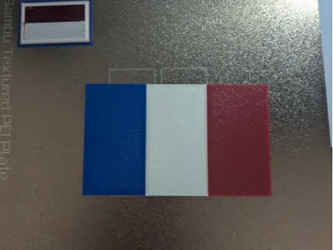 https://makerworld.bblmw.com/makerworld/model/US2ae929af66e42a/design/2024-12-26_6c6468a0b1829.webp
