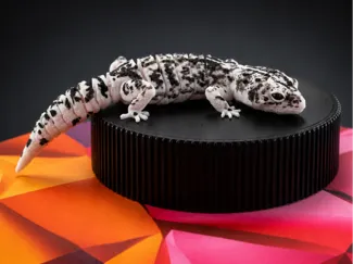 Paintable Flexi Gecko