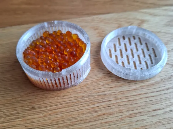 https://makerworld.bblmw.com/makerworld/model/US2aeead2f2d7e12/design/2025-02-19_7e5785b40ebdb.jpg