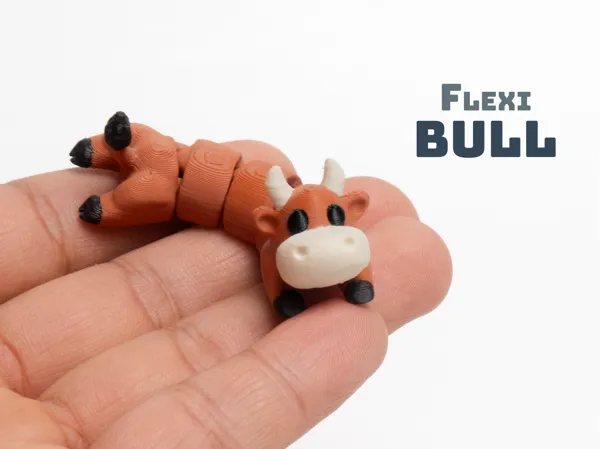 https://makerworld.bblmw.com/makerworld/model/US2aef5ae82ed7a8/design/90a60f5de645ffa7.jpg