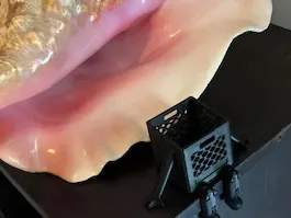 https://makerworld.bblmw.com/makerworld/model/US2af15149e7d82b/design/2025-01-31_6b0a76dcae9d1.jpg