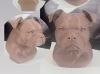 0.16mm layer, 2 walls, 15% infill