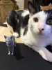 Chat A1 mini