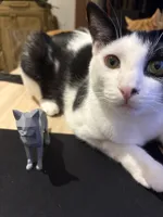 Chat A1 mini