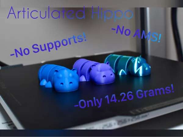 https://makerworld.bblmw.com/makerworld/model/US2afc5178d842df/design/2025-02-14_17e234fbc9f608.jpg